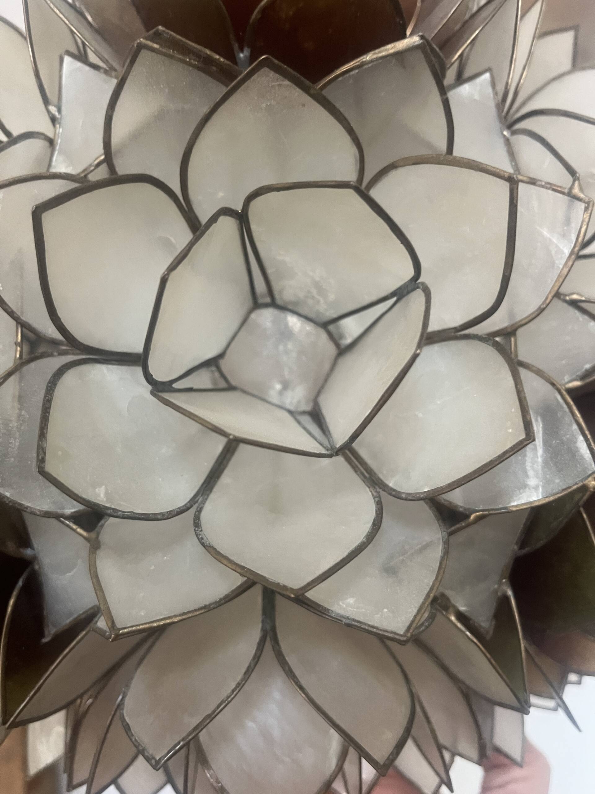 Lustre Lotus – Image 3